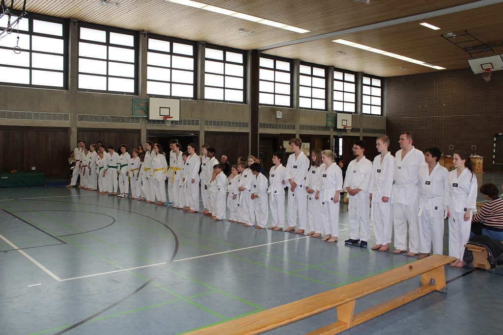 You are currently viewing Tae Kwon Do Workshop II 2019